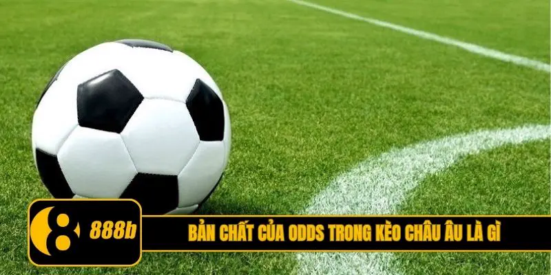 Bản chất của Odds trong Kèo châu Âu là gì