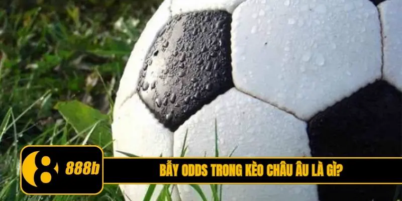 Bẫy Odds trong kèo châu Âu là gì?