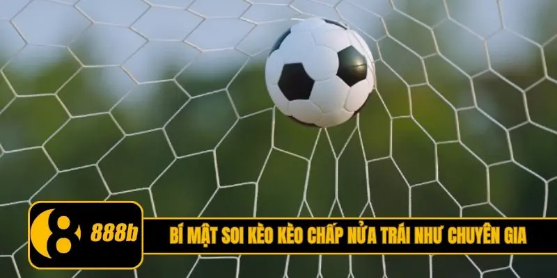 Bí mật soi kèo kèo chấp nửa trái như chuyên gia