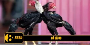 đá gà 88