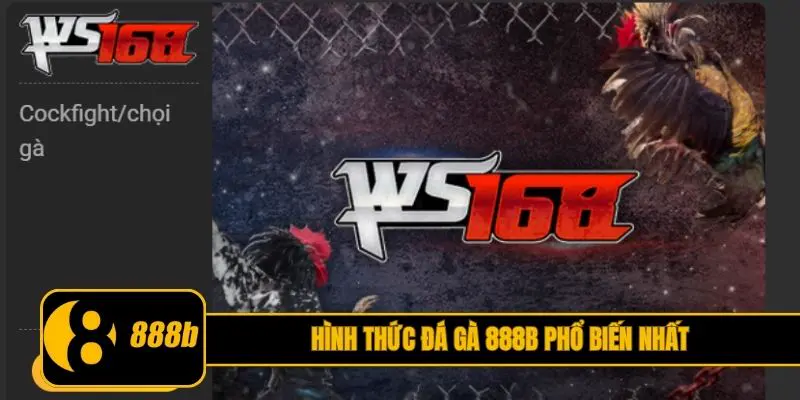 Hình thức đá gà 888B phổ biến nhất