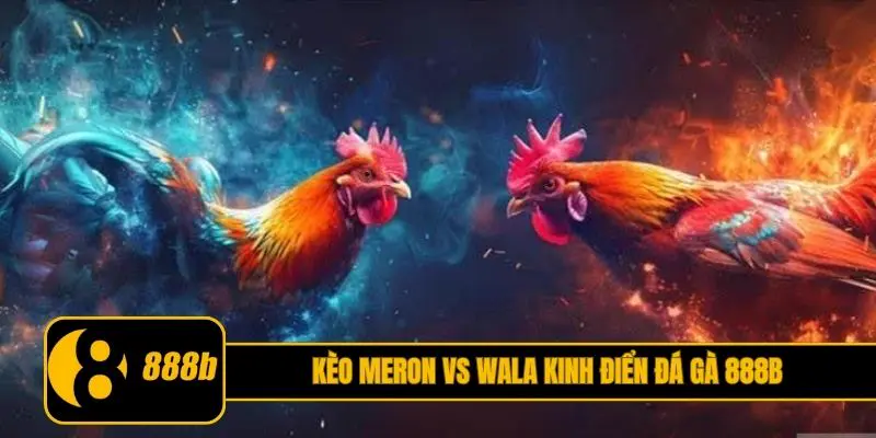 Kèo Meron vs Wala kinh điển đá gà 888B