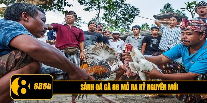 Sảnh đá gà 88 mở ra kỷ nguyên mới