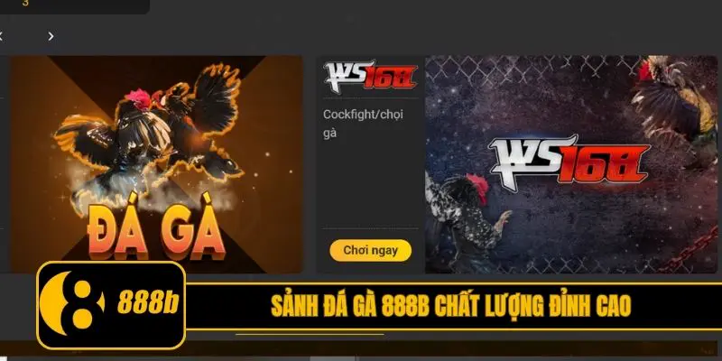 Sảnh đá gà 888B chất lượng đỉnh cao